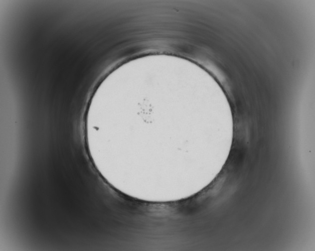 X0000099940807200805301216