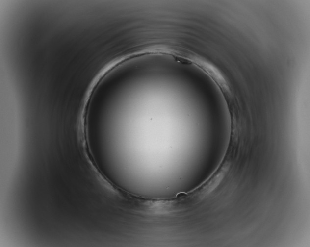X0000099940808200805301216