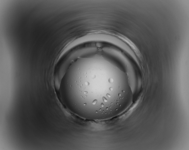 X0000099940809200805301216