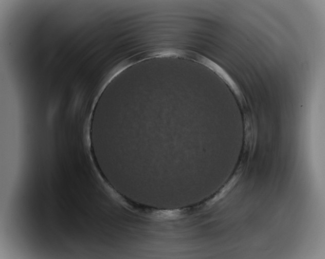 X0000099940810200805301216