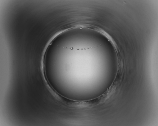 X0000099940811200805301216