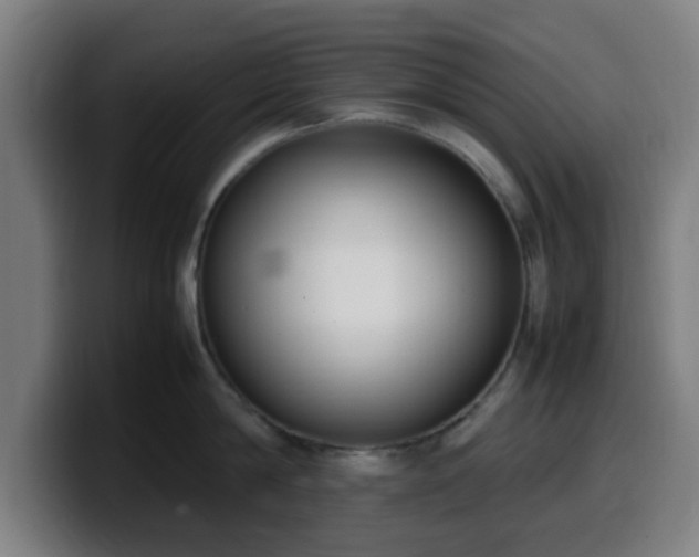 X0000099940814200805301216
