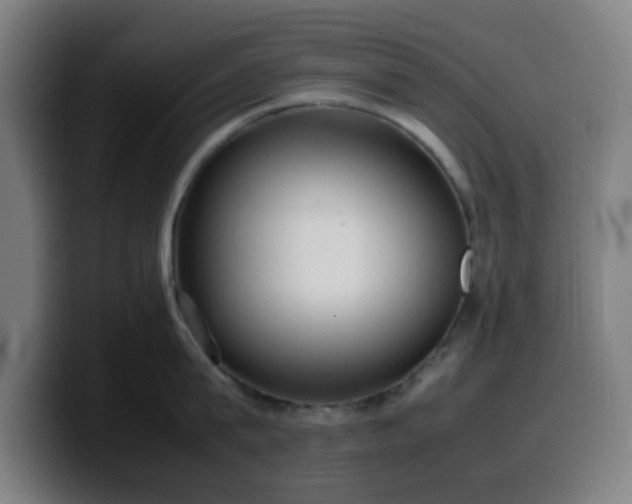 X0000099940815200805301216