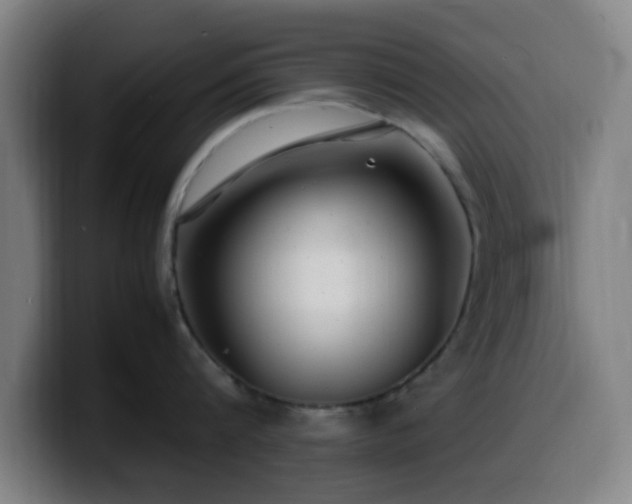 X0000099940816200805301216