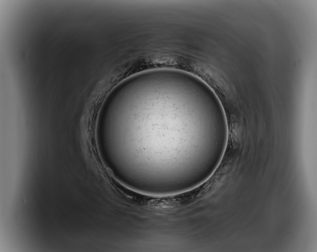 X0000099940817200805301215