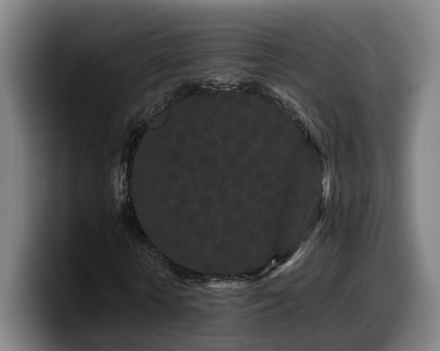 X0000099940818200805301215