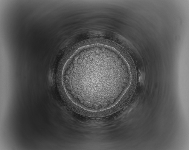 X0000099940819200805301215