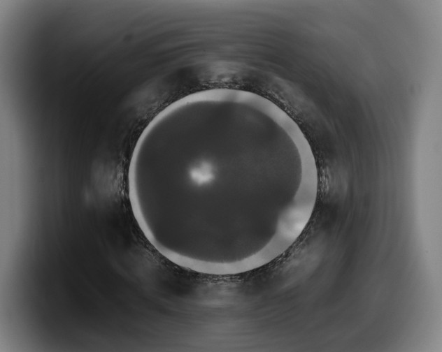 X0000099940820200805301215