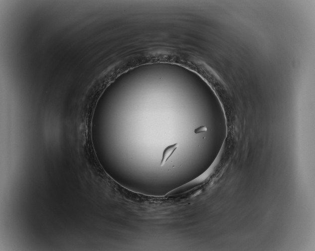 X0000099940821200805301215
