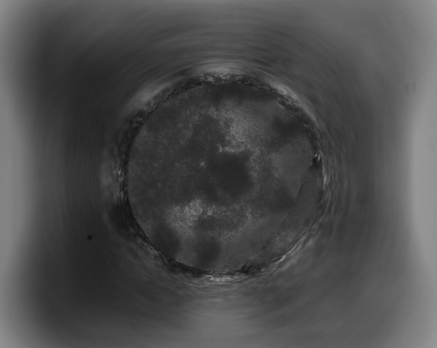 X0000099940822200805301215
