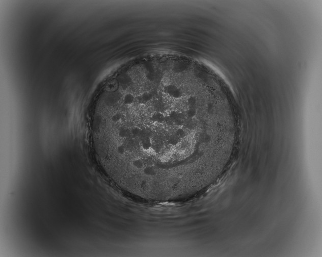 X0000099940823200805301215