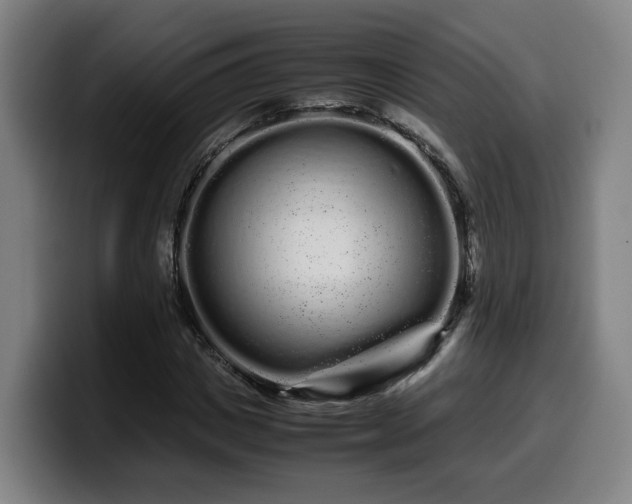 X0000099940825200805301215