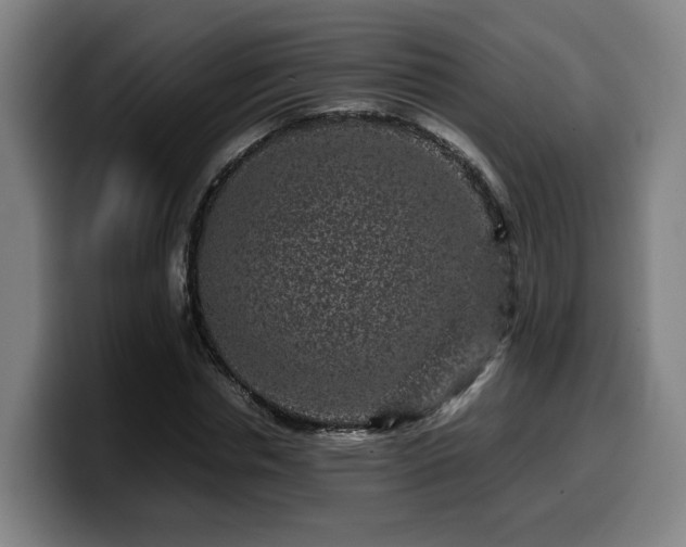 X0000099940826200805301215