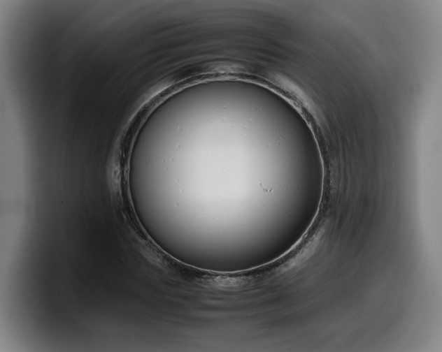 X0000099940827200805301215