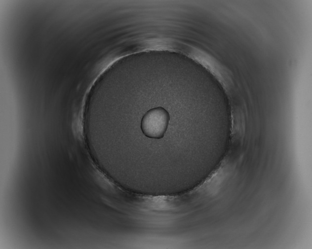X0000099940828200805301215