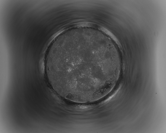 X0000099940829200805301215