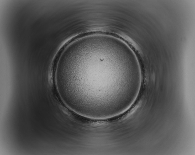 X0000099940830200805301215