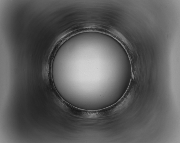 X0000099940831200805301215