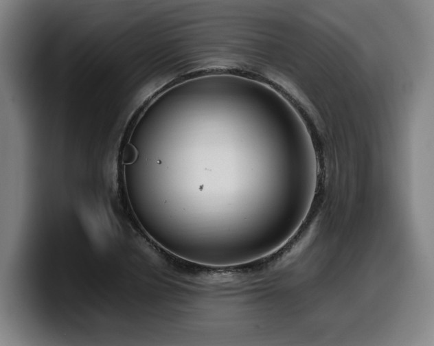 X0000099940834200805301215