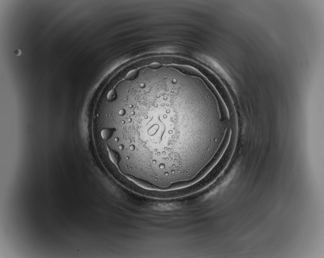 X0000099940835200805301215
