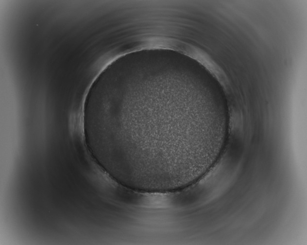 X0000099940836200805301215