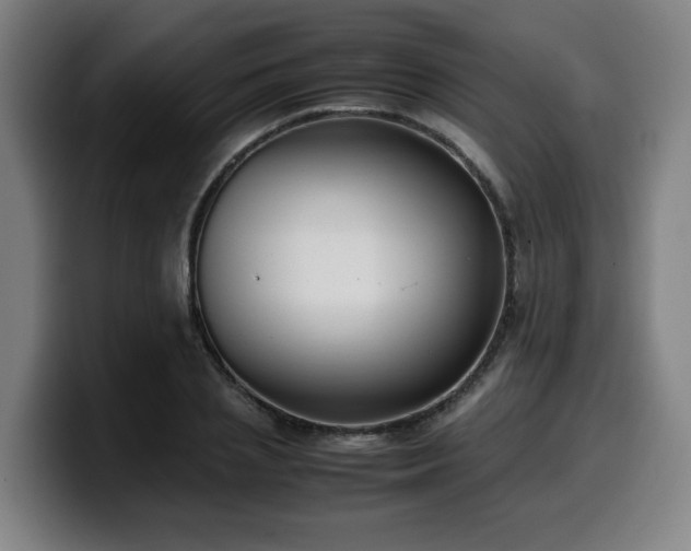 X0000099940837200805301215
