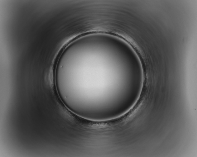 X0000099940838200805301215