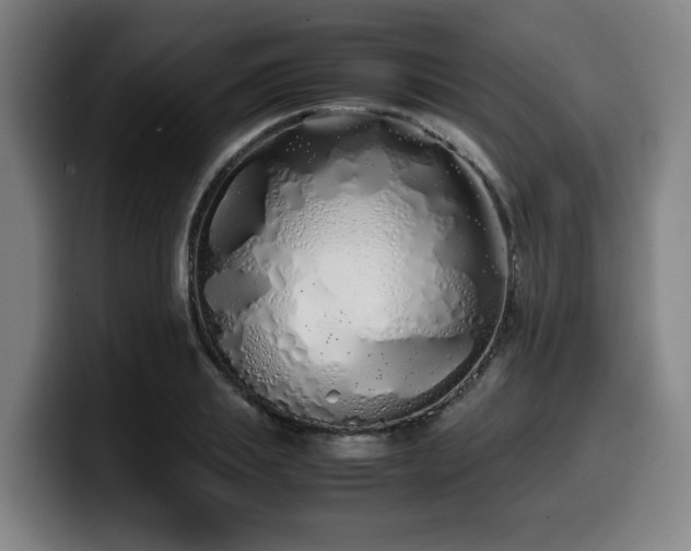 X0000099940839200805301215