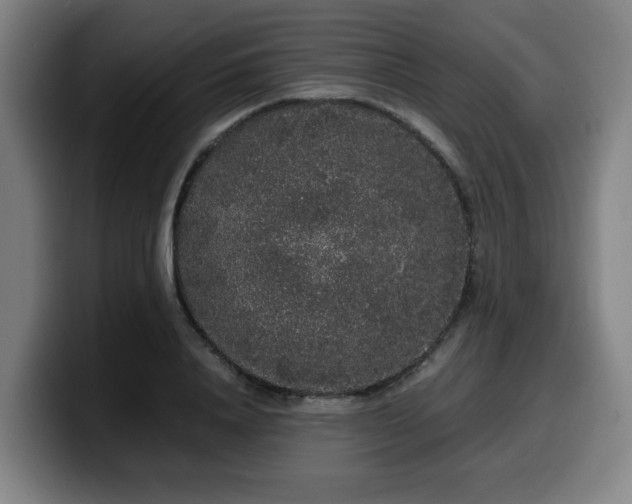 X0000099940840200805301215