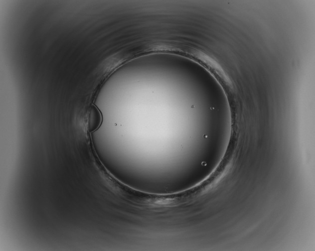 X0000099940841200805301215