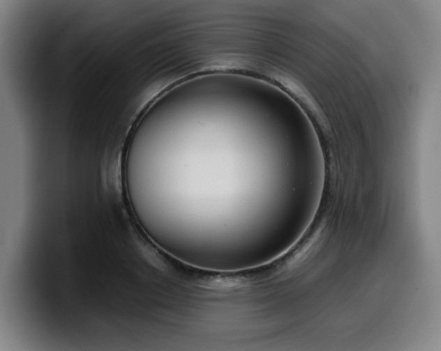 X0000099940842200805301215