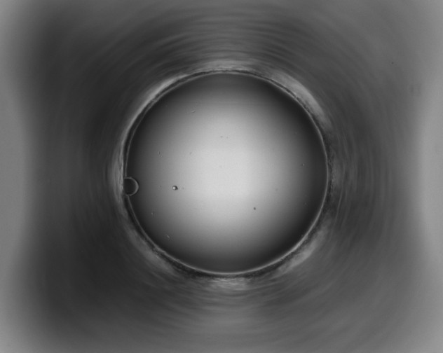X0000099940844200805301215