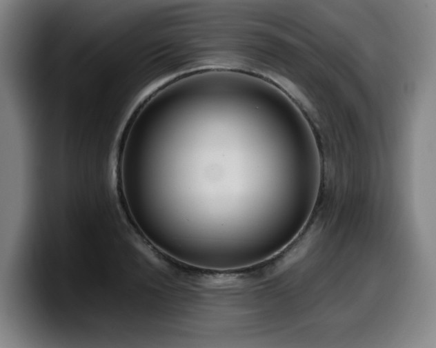 X0000099940846200805301215