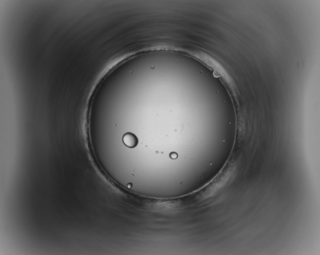 X0000099940847200805301215