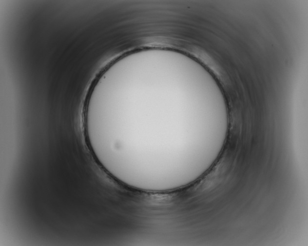 X0000099940848200805301215