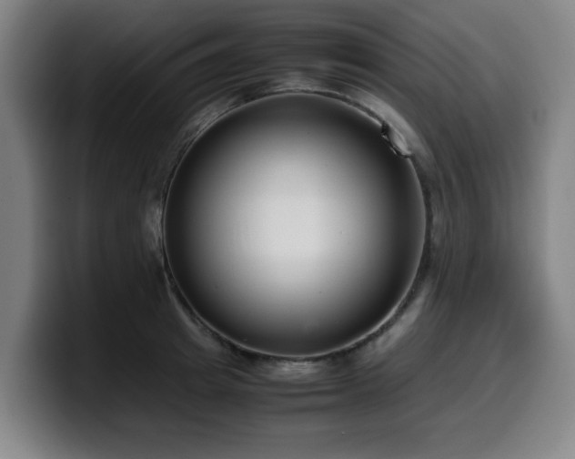 X0000099940849200805301215