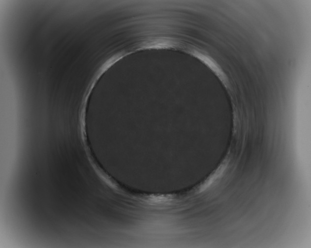 X0000099940850200805301216