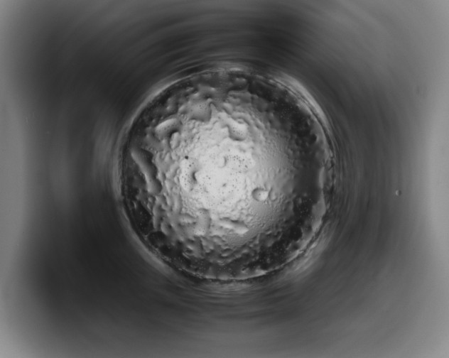 X0000099940851200805301216