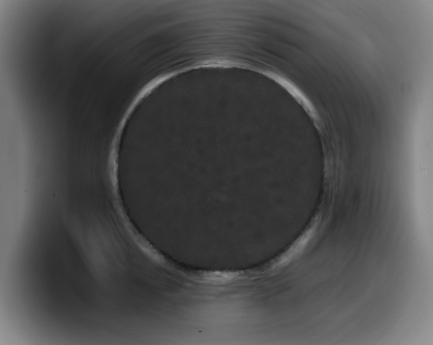 X0000099940854200805301216