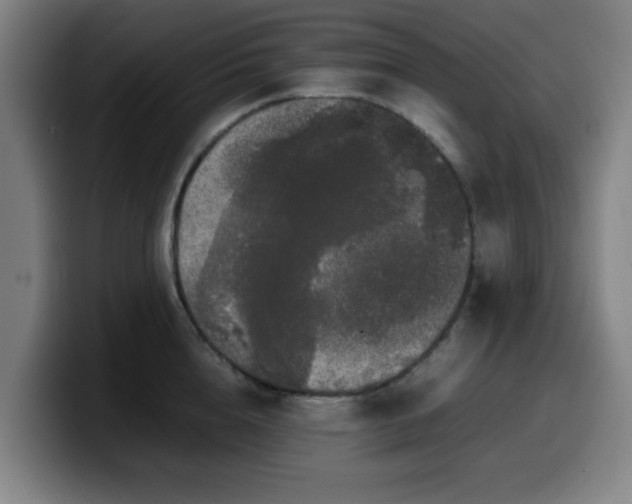 X0000099940856200805301216
