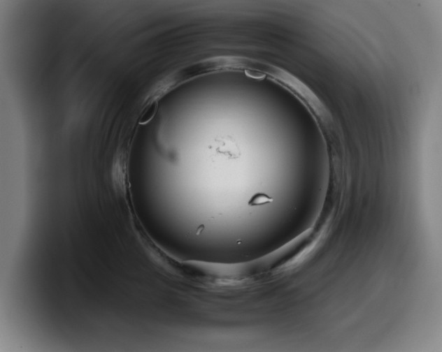 X0000099940857200805301216