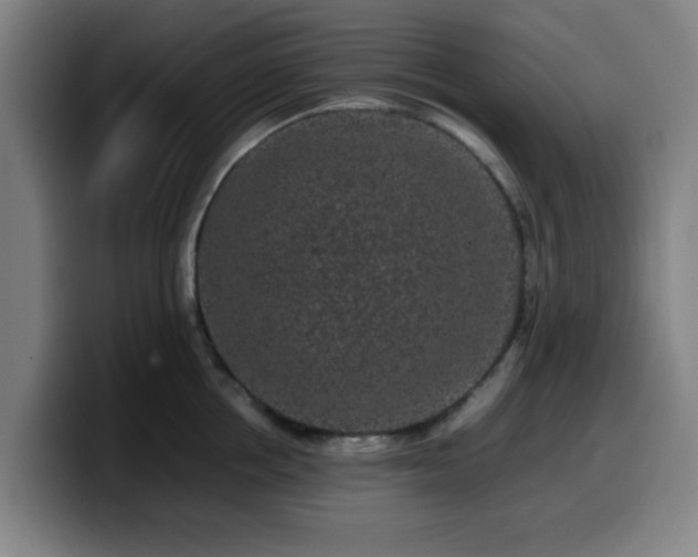 X0000099940858200805301216