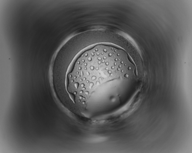 X0000099940859200805301216
