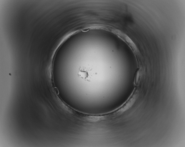 X0000099940860200805301216