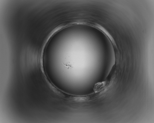 X0000099940861200805301216