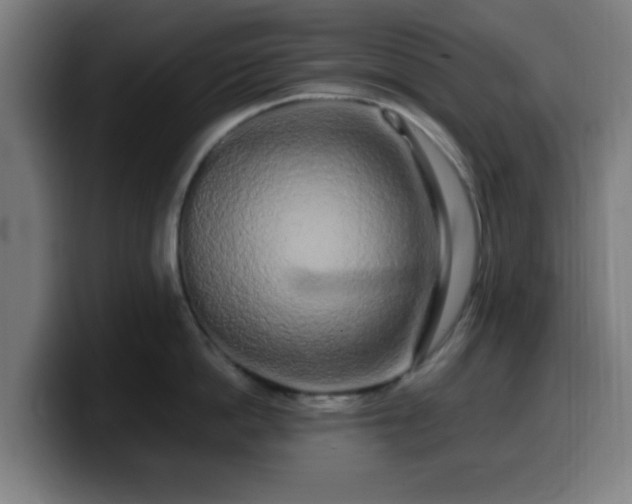 X0000099940862200805301216
