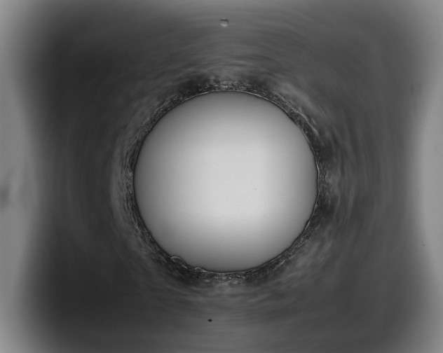 X0000099940865200805301215