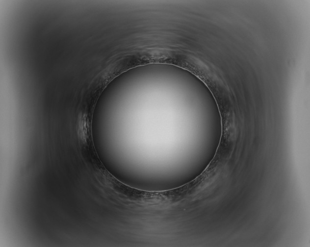 X0000099940866200805301215
