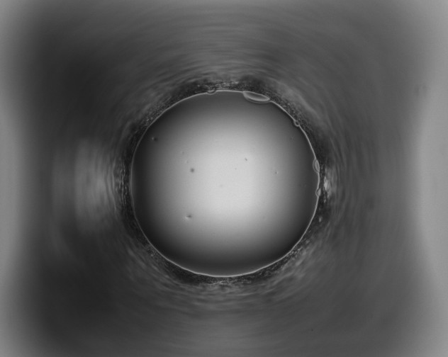 X0000099940867200805301215