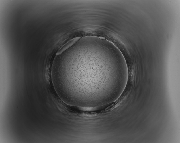 X0000099940868200805301215